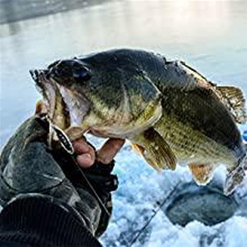 ABUE-Kayak Portable Fish Depth - огляд і ціна Fishing Boat Depth Finder